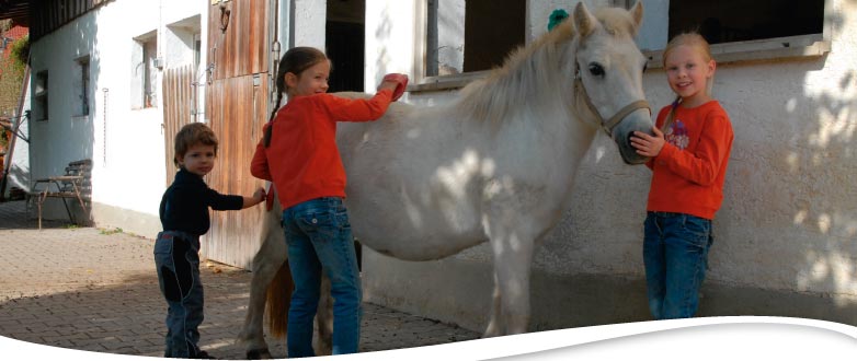 Pony Feli
