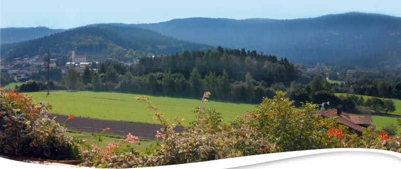 Balkonblick