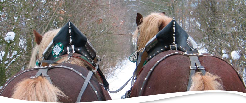 Kutschenfahrt im Winter